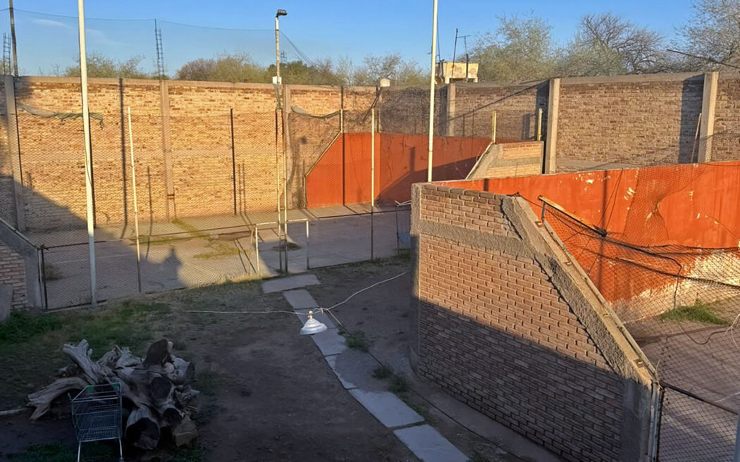¡Oportunidad! Complejo de Pádel en Cuarta Sección Este
